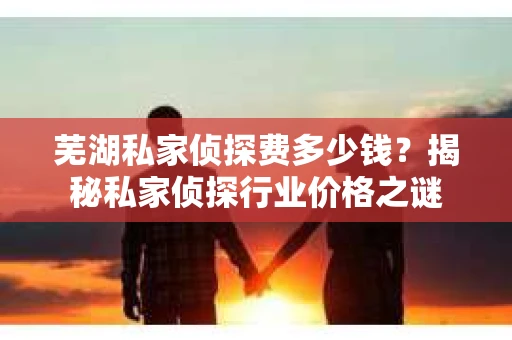 芜湖私家侦探费多少钱？揭秘私家侦探行业价格之谜