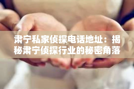 肃宁私家侦探电话地址：揭秘肃宁侦探行业的秘密角落