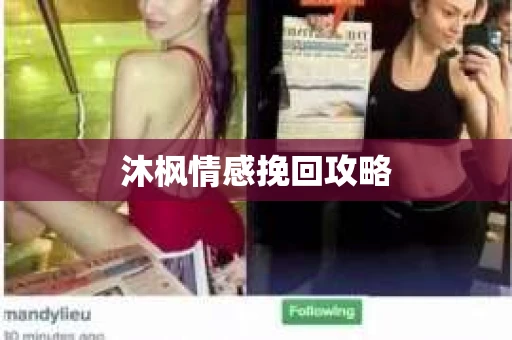 沐枫情感挽回攻略