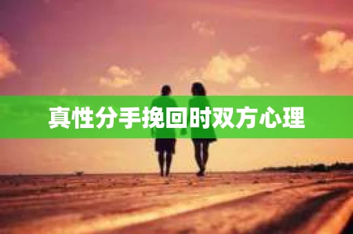 真性分手挽回时双方心理