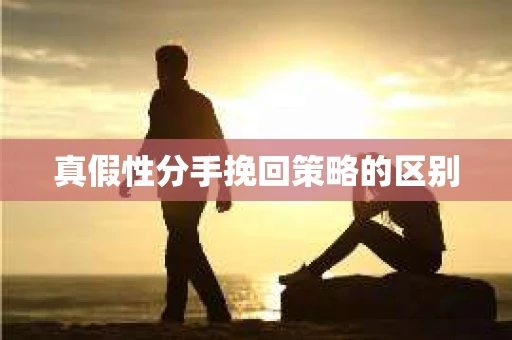 真假性分手挽回策略的区别