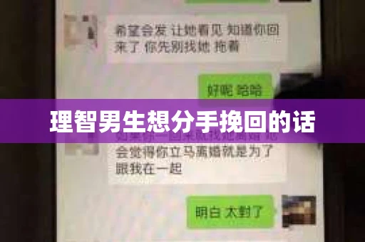 理智男生想分手挽回的话