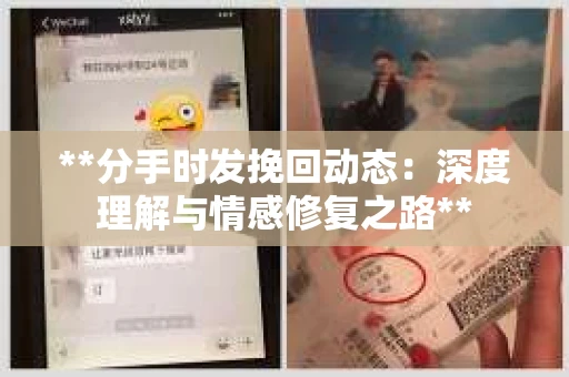 **分手时发挽回动态：深度理解与情感修复之路**