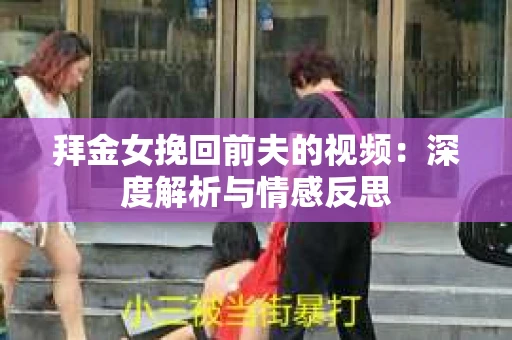 拜金女挽回前夫的视频：深度解析与情感反思