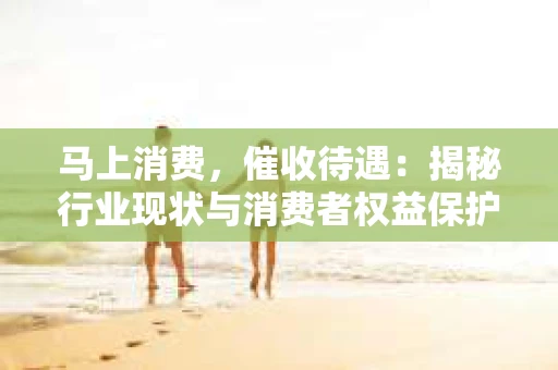 马上消费，催收待遇：揭秘行业现状与消费者权益保护