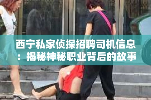 西宁私家侦探招聘司机信息：揭秘神秘职业背后的故事