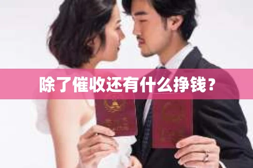除了催收还有什么挣钱？