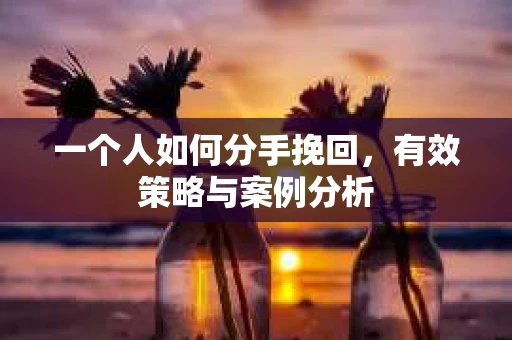 一个人如何分手挽回，有效策略与案例分析