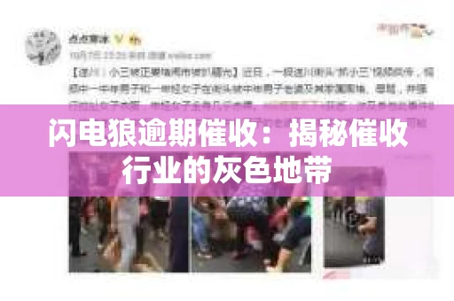 闪电狼逾期催收：揭秘催收行业的灰色地带