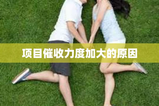项目催收力度加大的原因