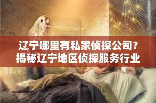 辽宁哪里有私家侦探公司？揭秘辽宁地区侦探服务行业
