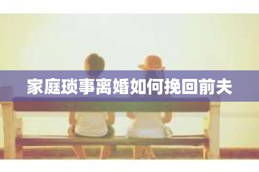 家庭琐事离婚如何挽回前夫