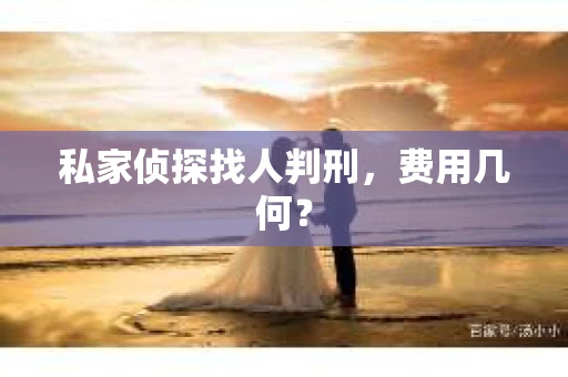 私家侦探找人判刑，费用几何？