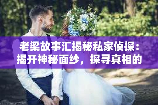老梁故事汇揭秘私家侦探：揭开神秘面纱，探寻真相的幕后英雄
